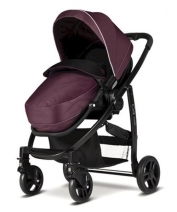 Brand New Graco Evo Stroller in Plum - NO WARRANTY
