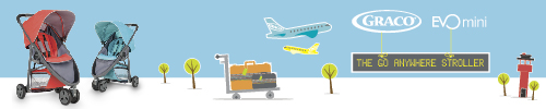 Graco Evo Mini Header