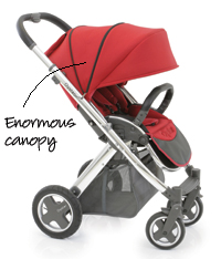 Canopy on the Babystyle Oyster