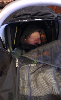 Cheeky Rascals Sleep Pod