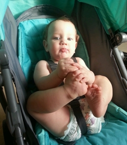 Graco Evo Mini Living With