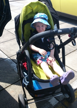 Graco Evo Living With