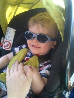 Graco evo Sunglasses