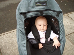 SnoozeShade Deluxe Living With