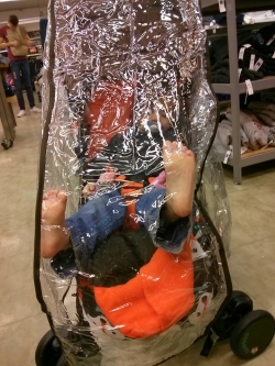 Cosatto Supa with raincover fitted