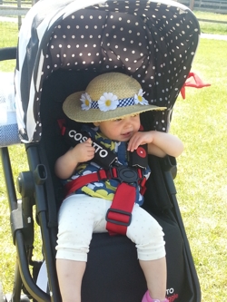 Cosatto Giggle Living With