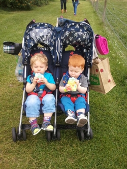 Cosatto Supa Dupa Living With