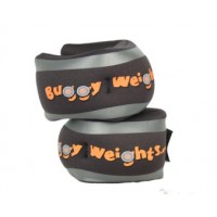 Buggy Weights